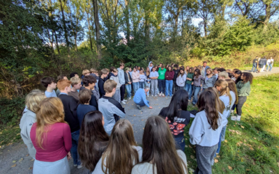 Reis naar Leper 2025